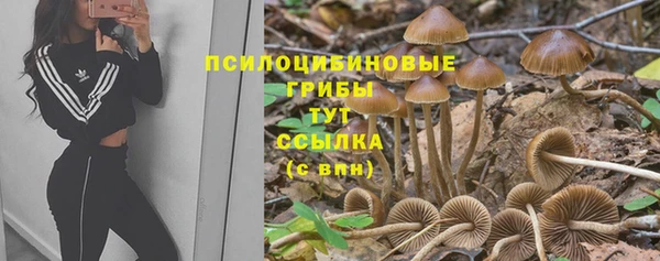 2c-b Нягань