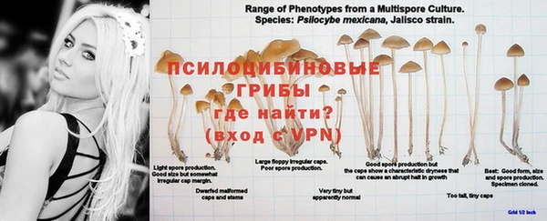 2c-b Нягань