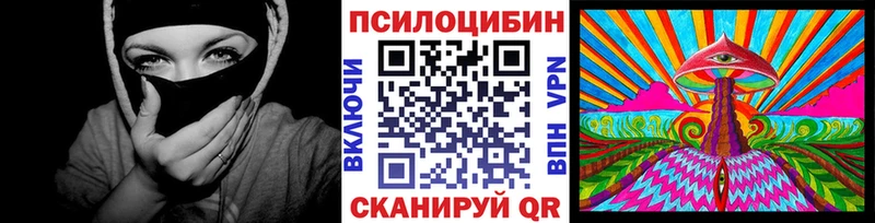 цены Кувшиново Галлюциногенные грибы Cubensis